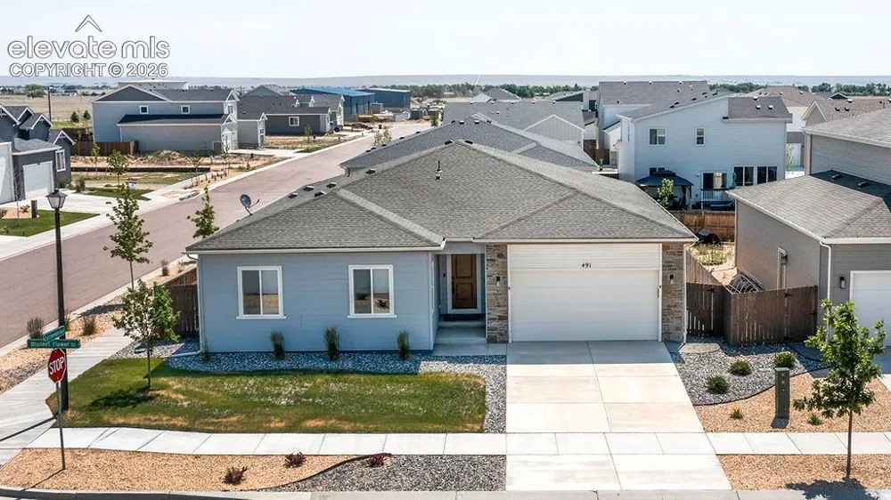 491 Blanket Flower Street Calhan, CO 80808