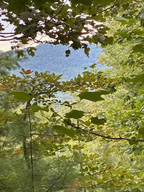 50+/- Pickelsimer Road