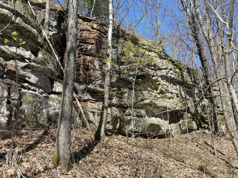 298 Fieldstone Lane Pikeville, TN 37367
