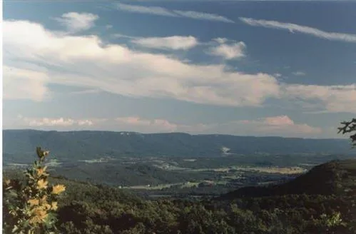 298 Fieldstone Lane Pikeville, TN 37367