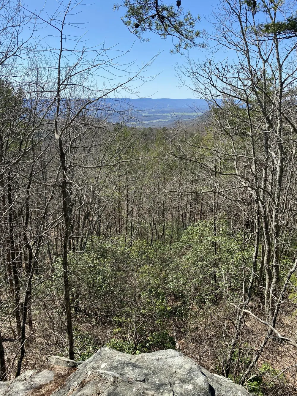 298 Fieldstone Lane Pikeville, TN 37367