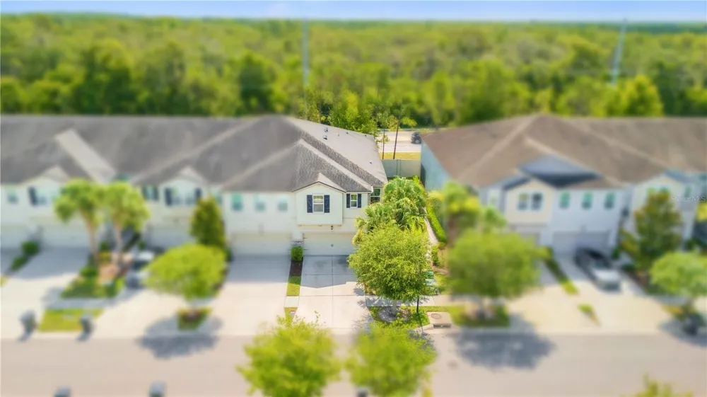 10316 HOLSTEIN EDGE PLACE Riverview, FL 33569
