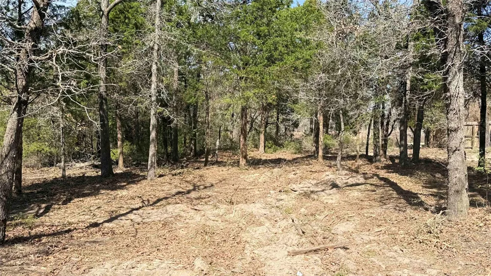 160 Los Robles Road Elgin, TX 78621