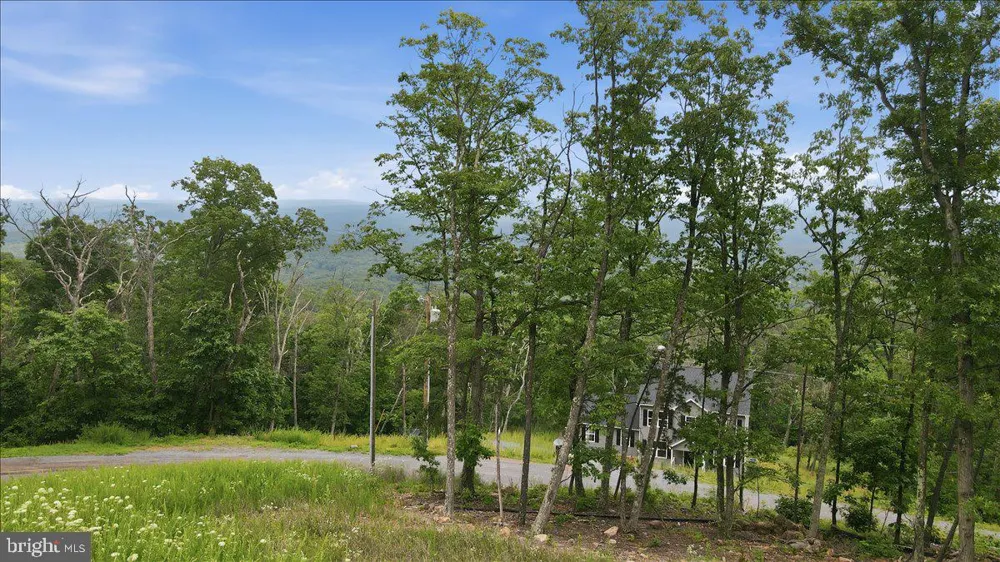 1617 TOMAHAWK TRAIL Winchester, VA 22602