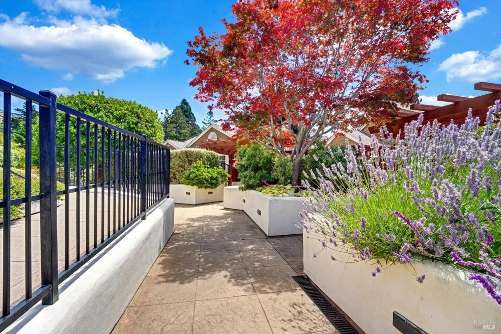 46 Ned's Way ##46 Tiburon, CA 94920
