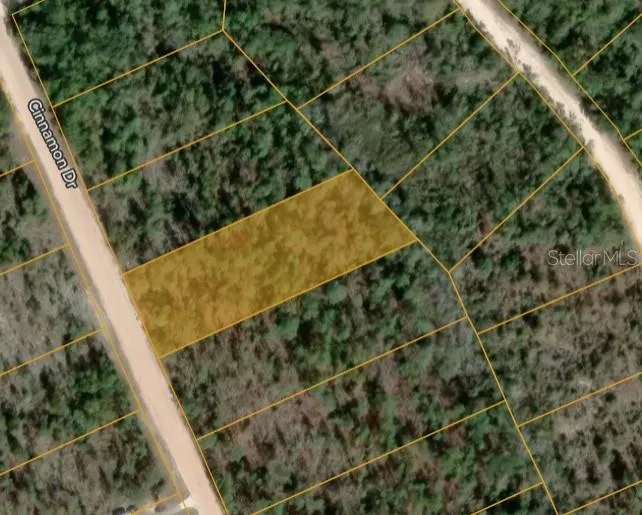 CINNAMON DRIVE Marianna, FL 32448