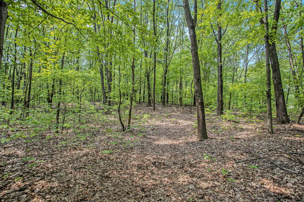 County Road 354 Lawton, MI 49065