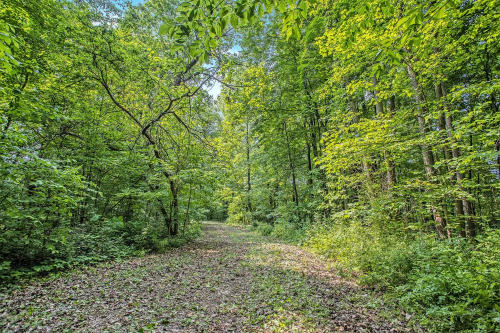 County Road 354 Lawton, MI 49065