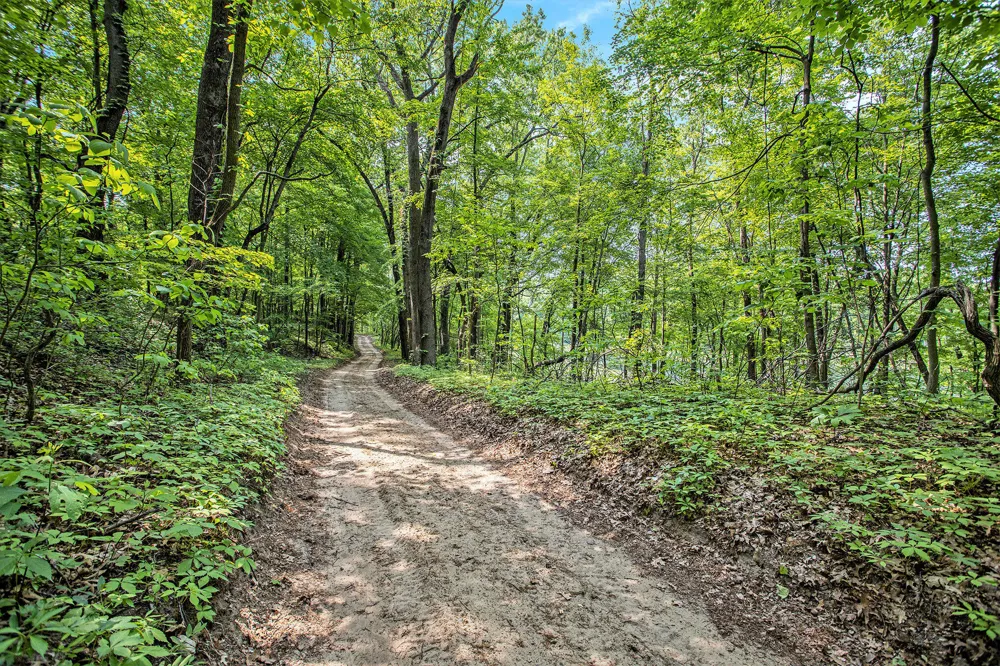 County Road 354 Lawton, MI 49065
