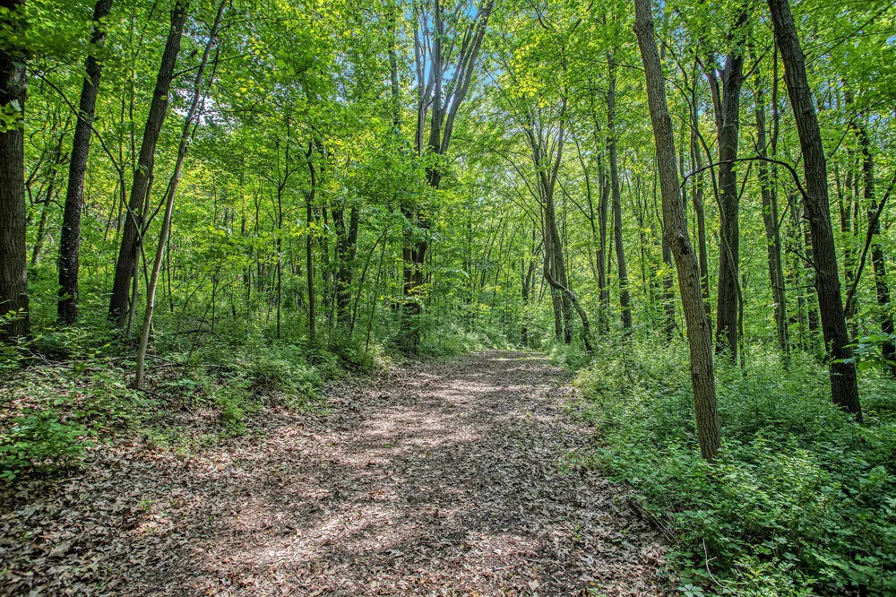 County Road 354 Lawton, MI 49065