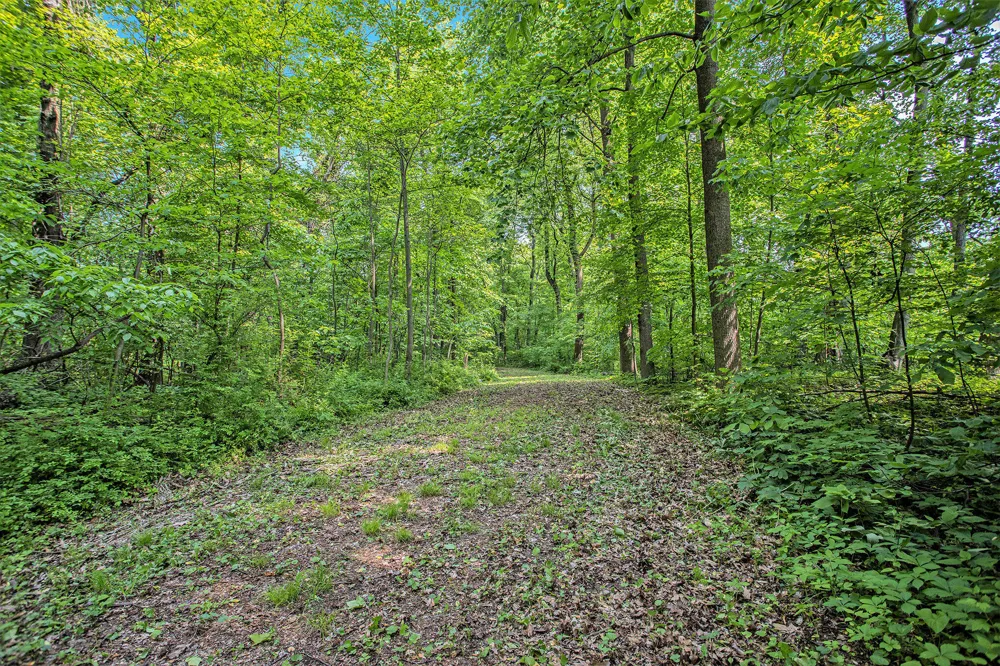 County Road 354 Lawton, MI 49065