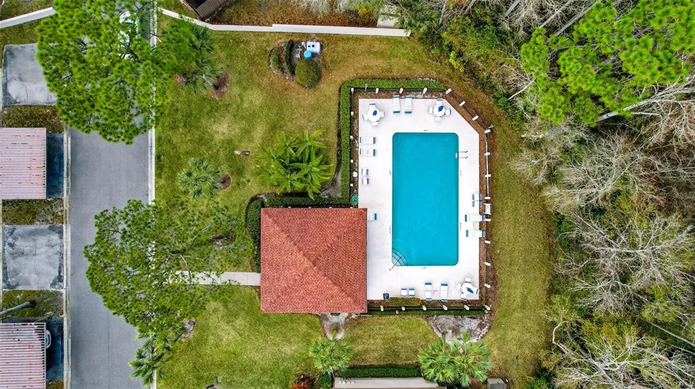3409 HILL MOOR DRIVE Palm Harbor, FL 34685