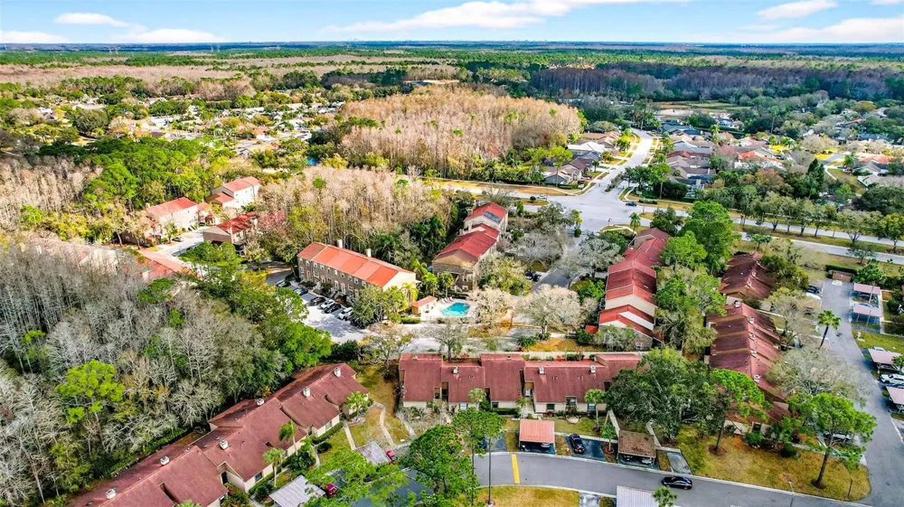 3409 HILL MOOR DRIVE Palm Harbor, FL 34685