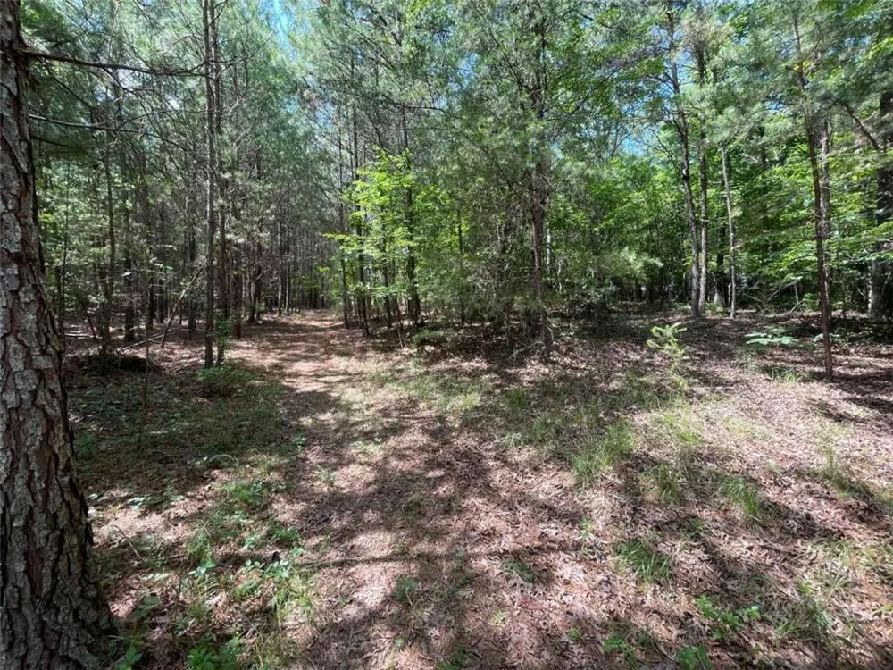 0 Fallen Branch Circle Rome, GA 30161