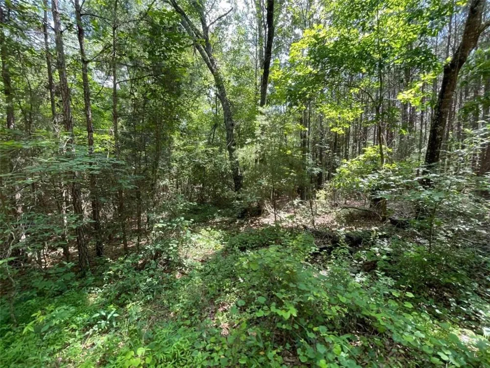 0 Fallen Branch Circle Rome, GA 30161