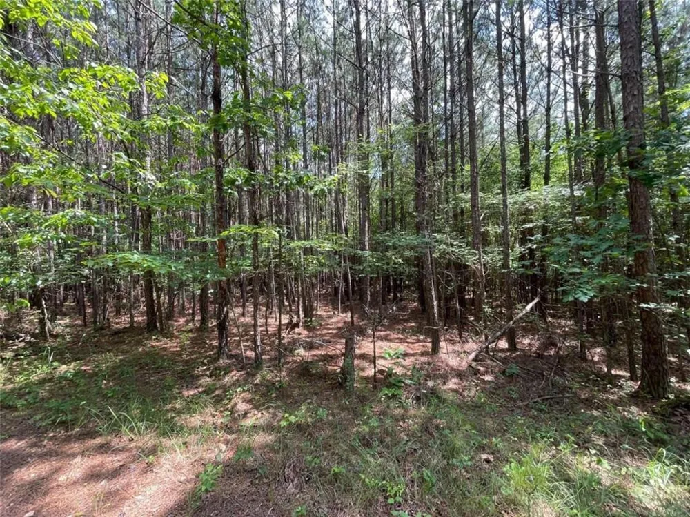 0 Fallen Branch Circle Rome, GA 30161