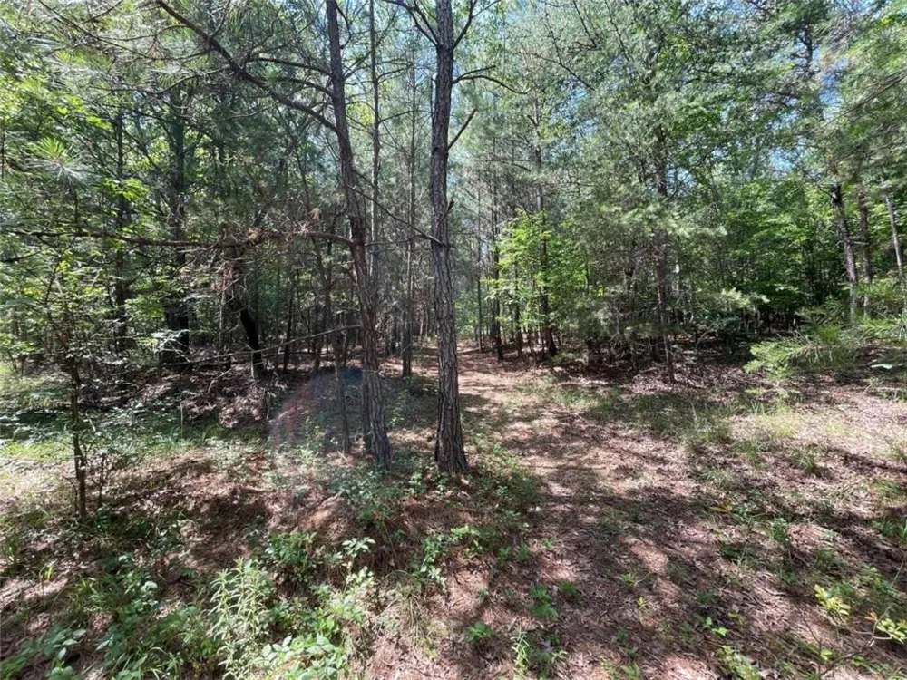 0 Fallen Branch Circle Rome, GA 30161