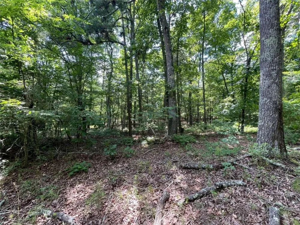 0 Fallen Branch Circle Rome, GA 30161