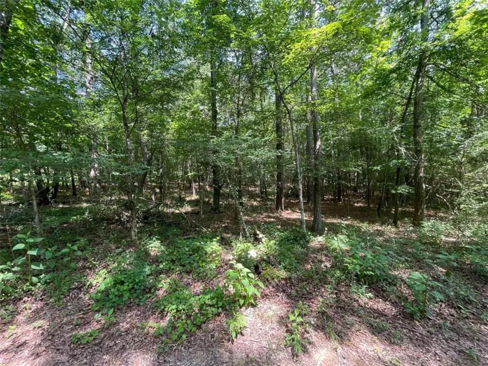 0 Fallen Branch Circle Rome, GA 30161
