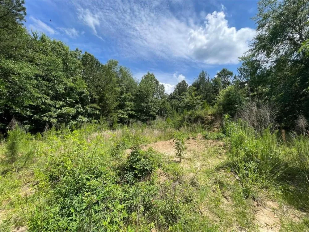 0 Fallen Branch Circle Rome, GA 30161