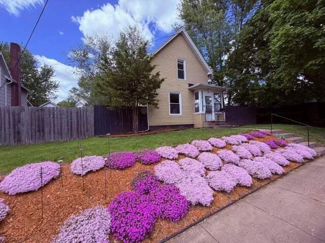 228 Thompson Street Jackson City, MI 49202