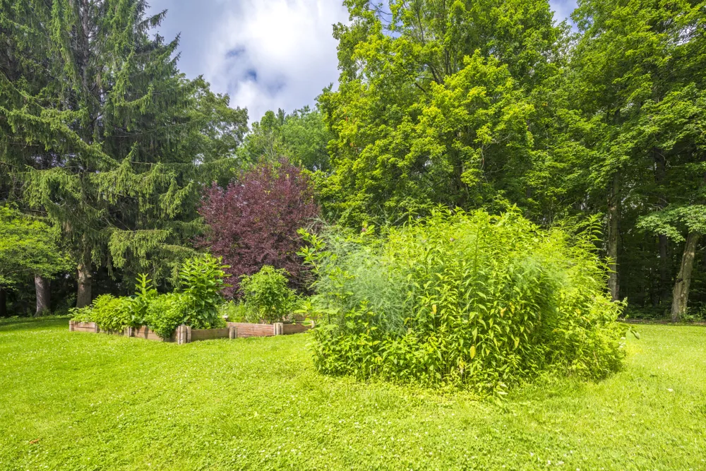 126 Orchard Avenue La Porte, IN 46350
