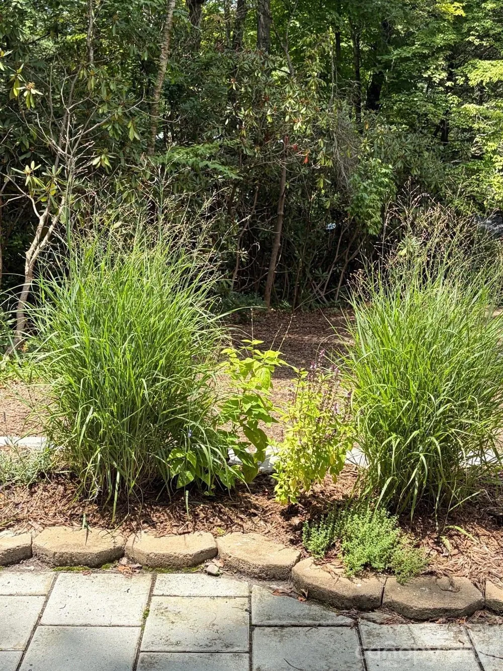 78 Tupper Road Black Mountain, NC 28711