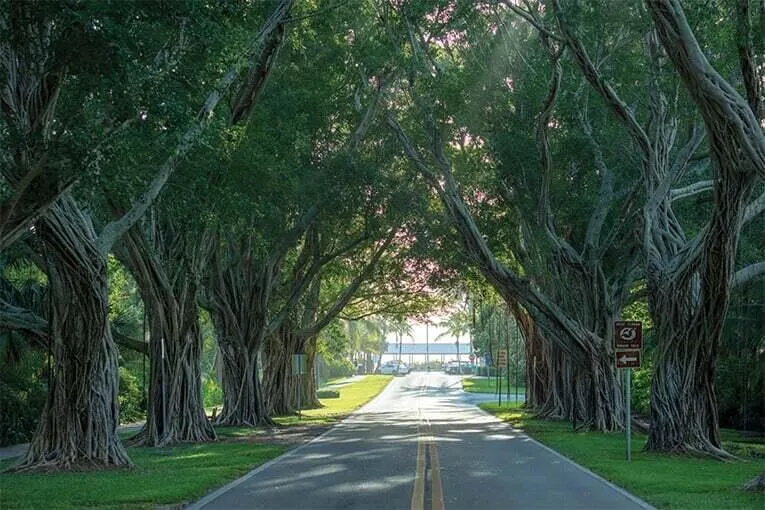 9025 SE Bridge Road #A Hobe Sound, FL 33455