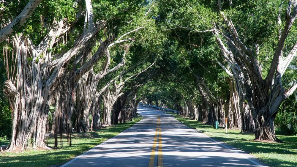 9025 SE Bridge Road #A Hobe Sound, FL 33455