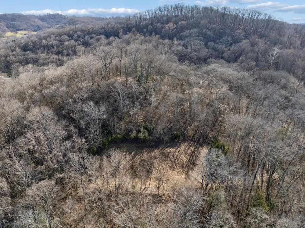 6450 Log Cabin Trail Brentwood, TN 37027