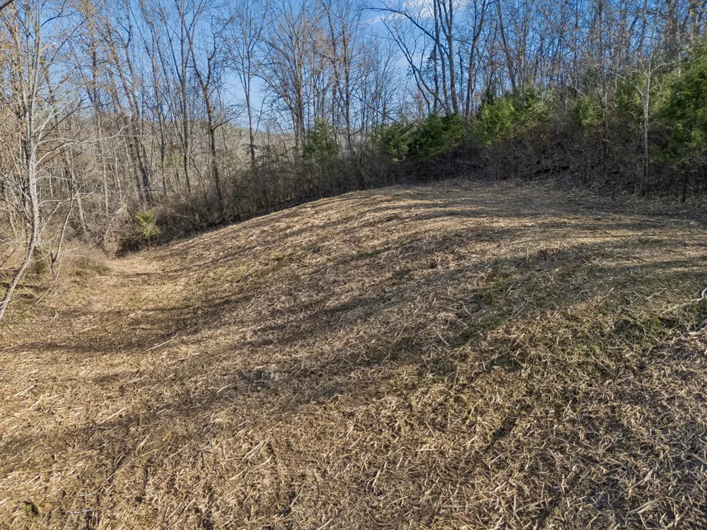 6450 Log Cabin Trail Brentwood, TN 37027