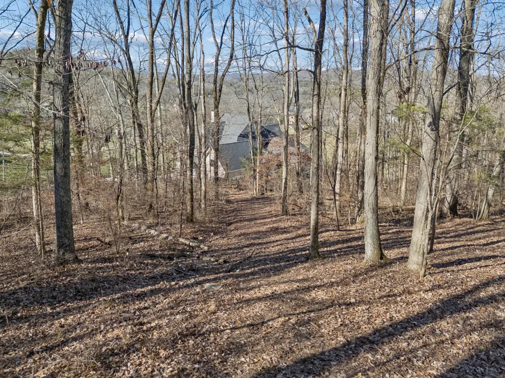 6450 Log Cabin Trail Brentwood, TN 37027