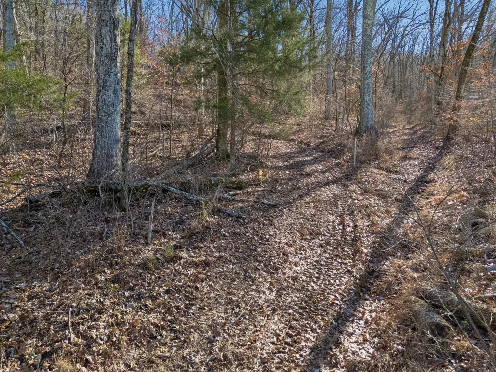 6450 Log Cabin Trail Brentwood, TN 37027