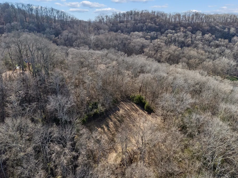 6450 Log Cabin Trail Brentwood, TN 37027