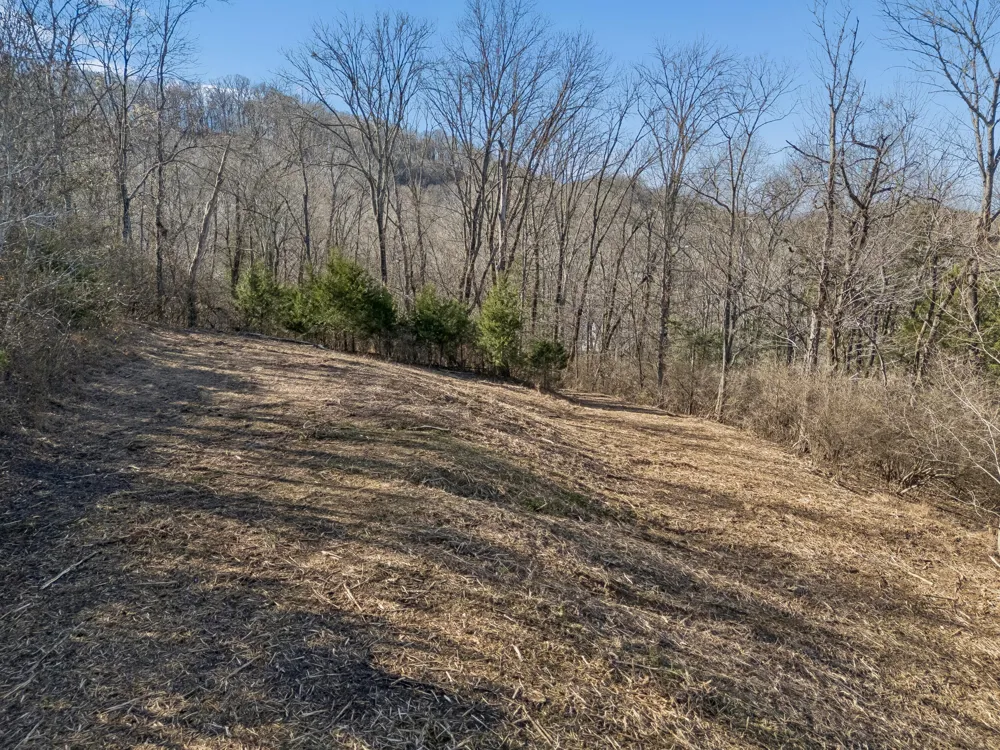 6450 Log Cabin Trail Brentwood, TN 37027