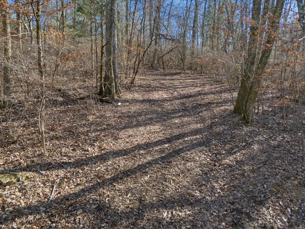 6450 Log Cabin Trail Brentwood, TN 37027