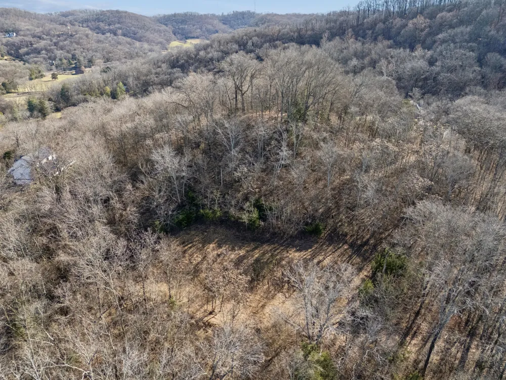 6450 Log Cabin Trail Brentwood, TN 37027