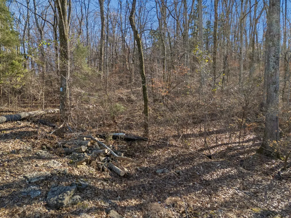 6450 Log Cabin Trail Brentwood, TN 37027