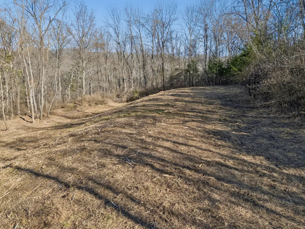 6450 Log Cabin Trail Brentwood, TN 37027