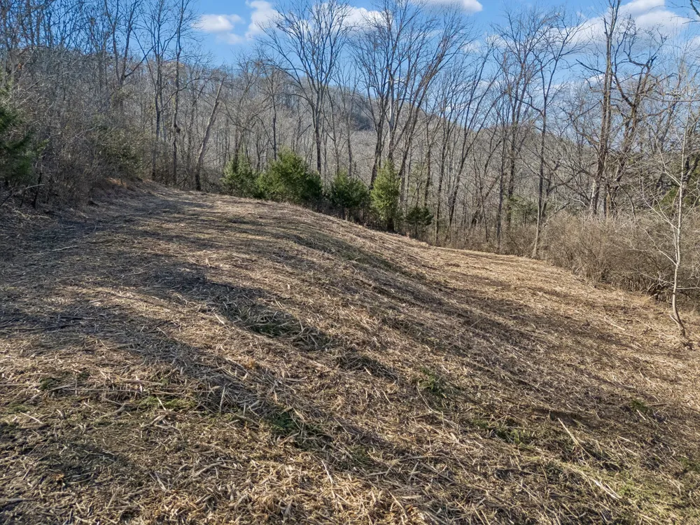 6450 Log Cabin Trail Brentwood, TN 37027