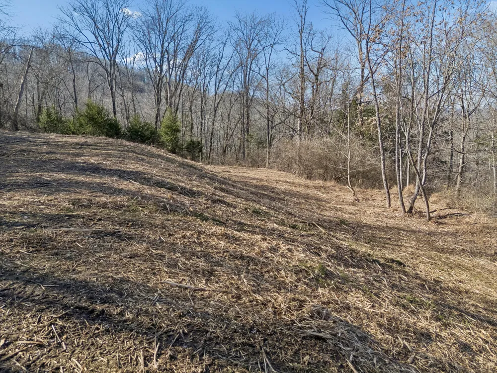 6450 Log Cabin Trail Brentwood, TN 37027