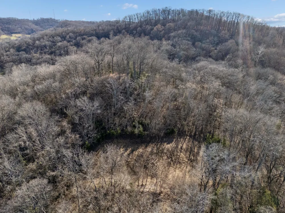 6450 Log Cabin Trail Brentwood, TN 37027