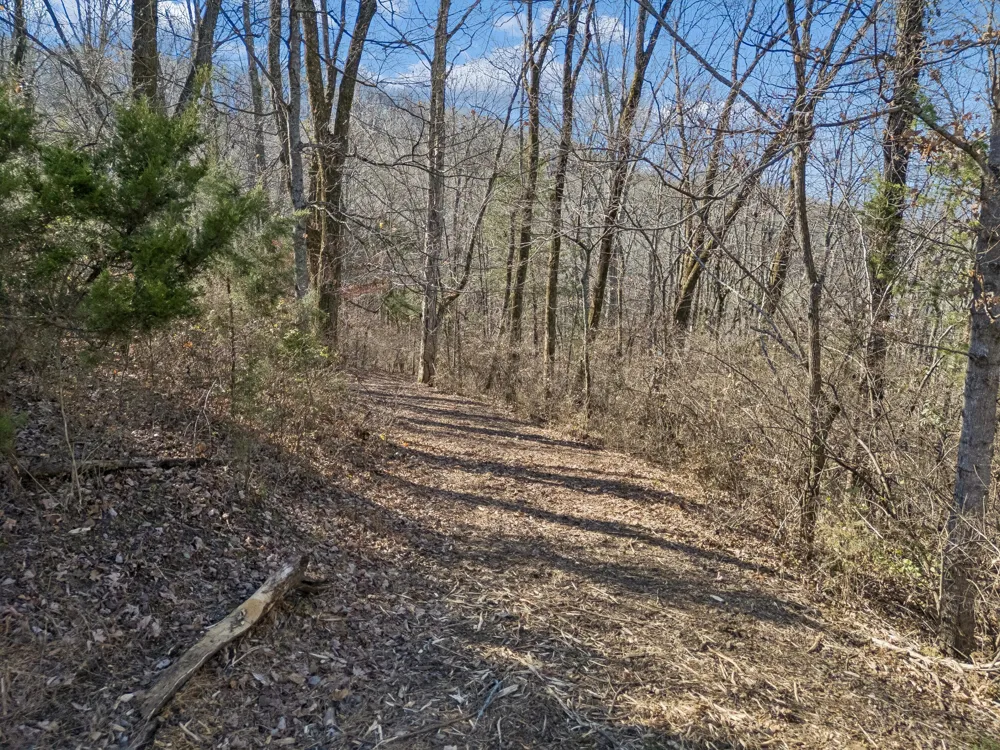 6450 Log Cabin Trail Brentwood, TN 37027