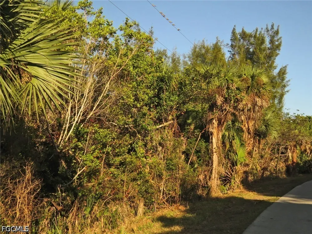 Dinkins Lake Road Sanibel, FL 33957