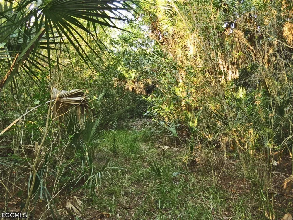 Dinkins Lake Road Sanibel, FL 33957