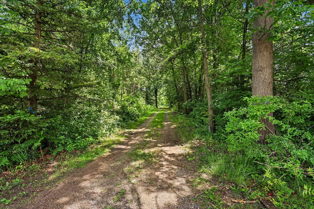 Johnson Street Grand Haven, MI 49417