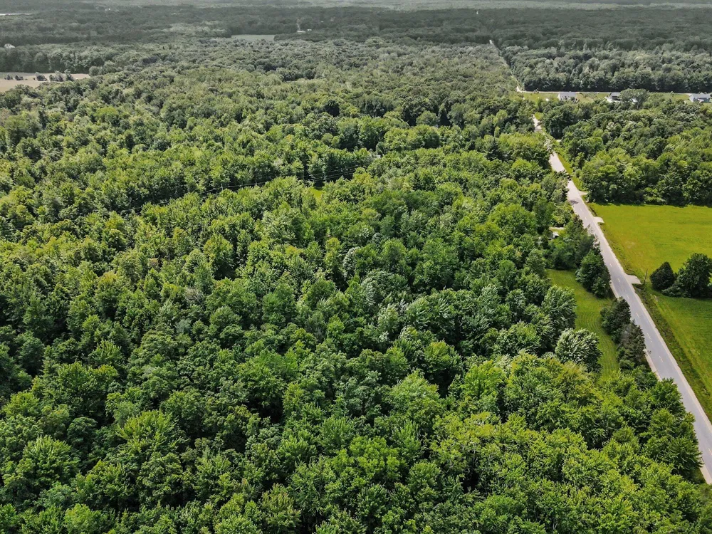 Johnson Street Grand Haven, MI 49417