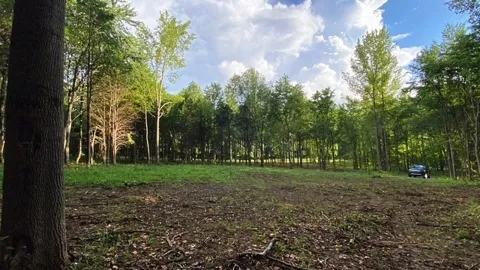 7884 Bill Moss Rd