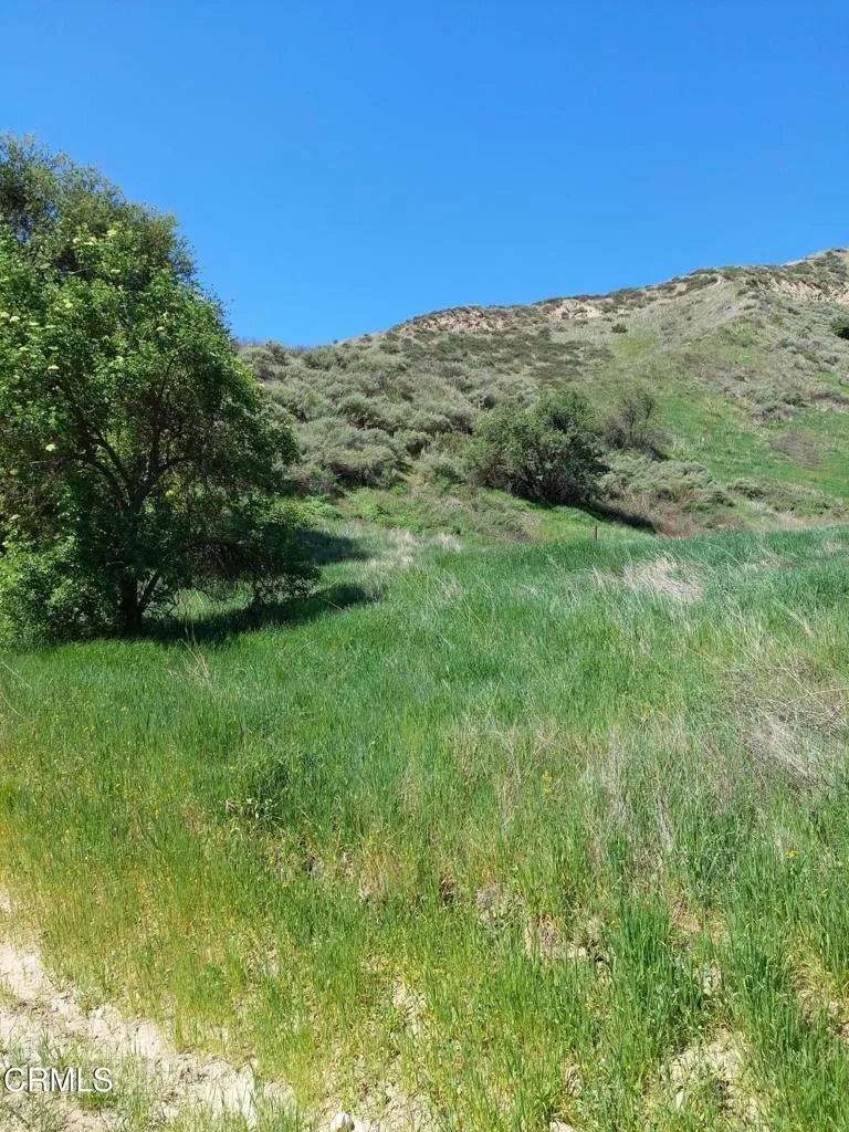 Loma Verde Mountainway Val Verde, CA 91384
