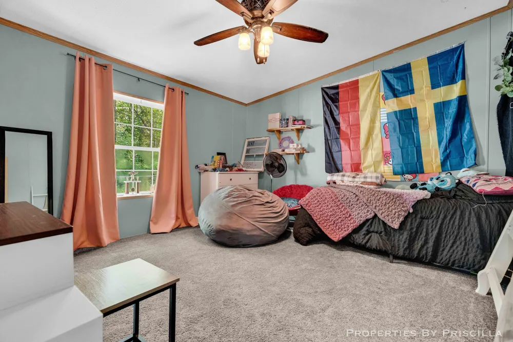 3766 Mary Avenue Big Prairie Township, MI 49337